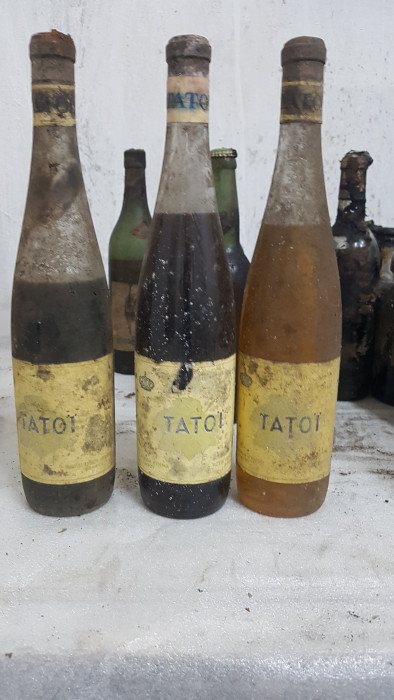Αποκαλύπτονται οι σπάνιοι θησαυροί της κάβας του Τατοΐου