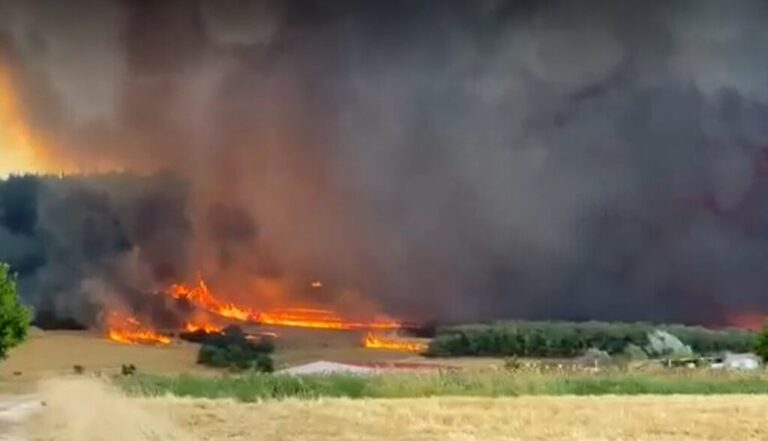Δήλωση της ΠτΔ Κατερίνας Σακελλαροπούλου για τα Θύματα της Πυρκαγιάς στον Έβρο